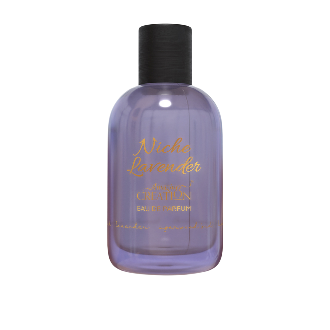 Amazing Creation Niche Lavender EDP For Unisex 100ml