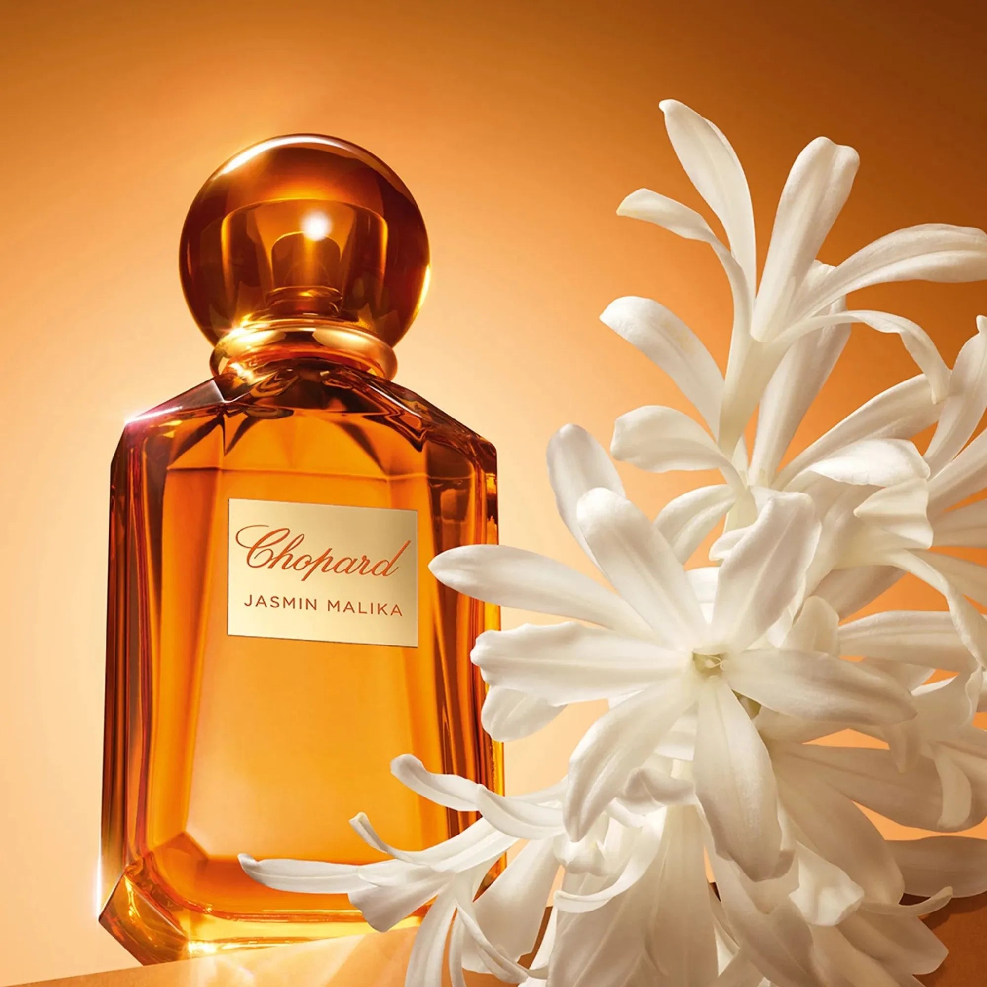 Chopard Jasmin Malika Perfume For Women EDP 100ml – samawa perfumes Chopard Jasmin Malika Perfume For Women EDP 100ml – samawa perfumes