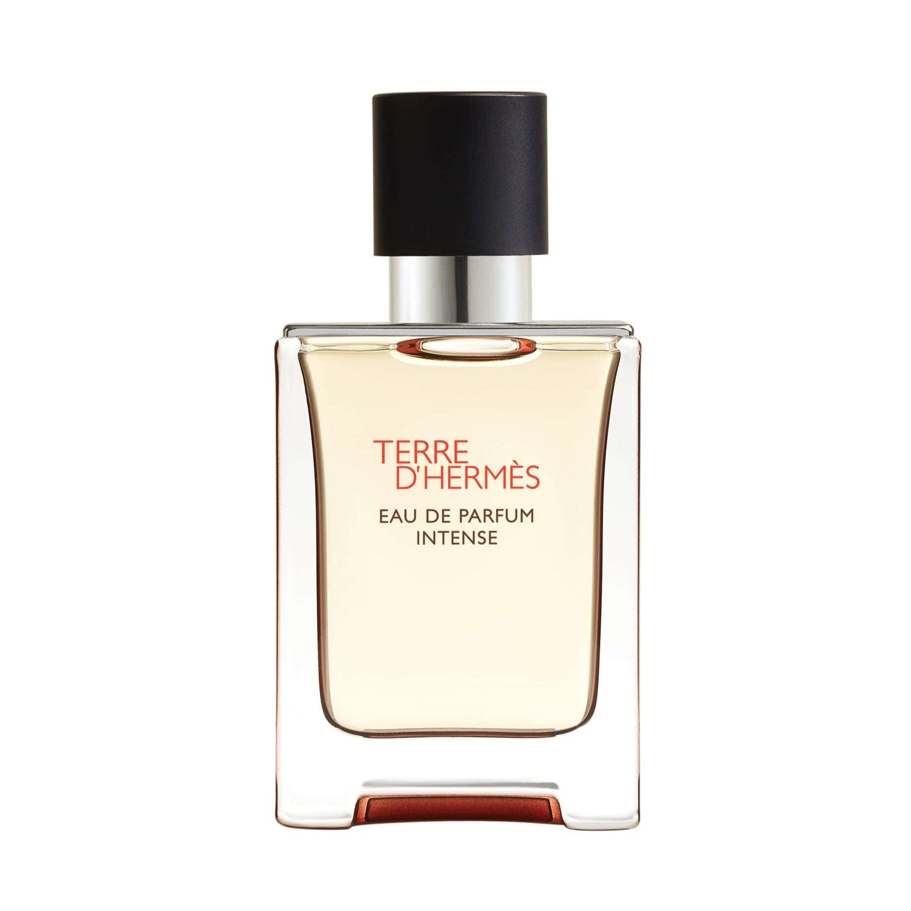 Hermes Terre D'Hermes Perfume For Men EDP Intense 50ml