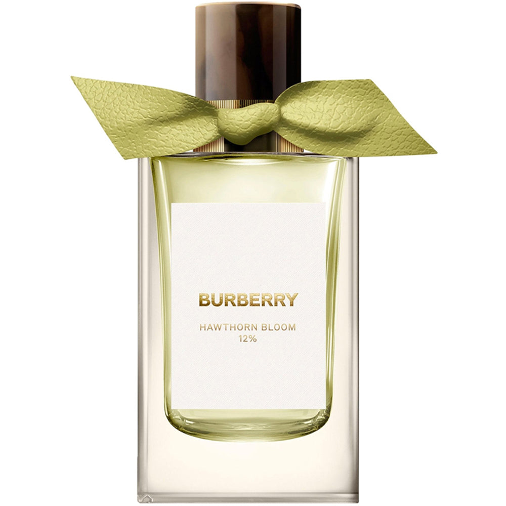 Burberry london england perfume on sale