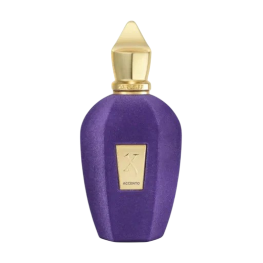 Xerjoff Accento  For Unisex  EDP, 100ml