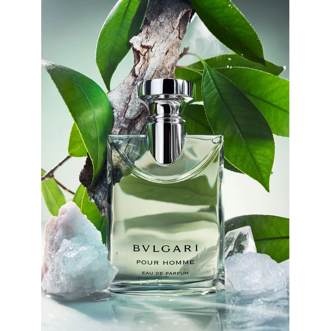 Bvlgari Pour Homme Perfume For Men EDP 50ml