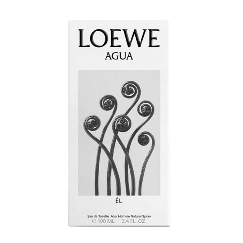 Loewe Agua El For Men EDT 100ml