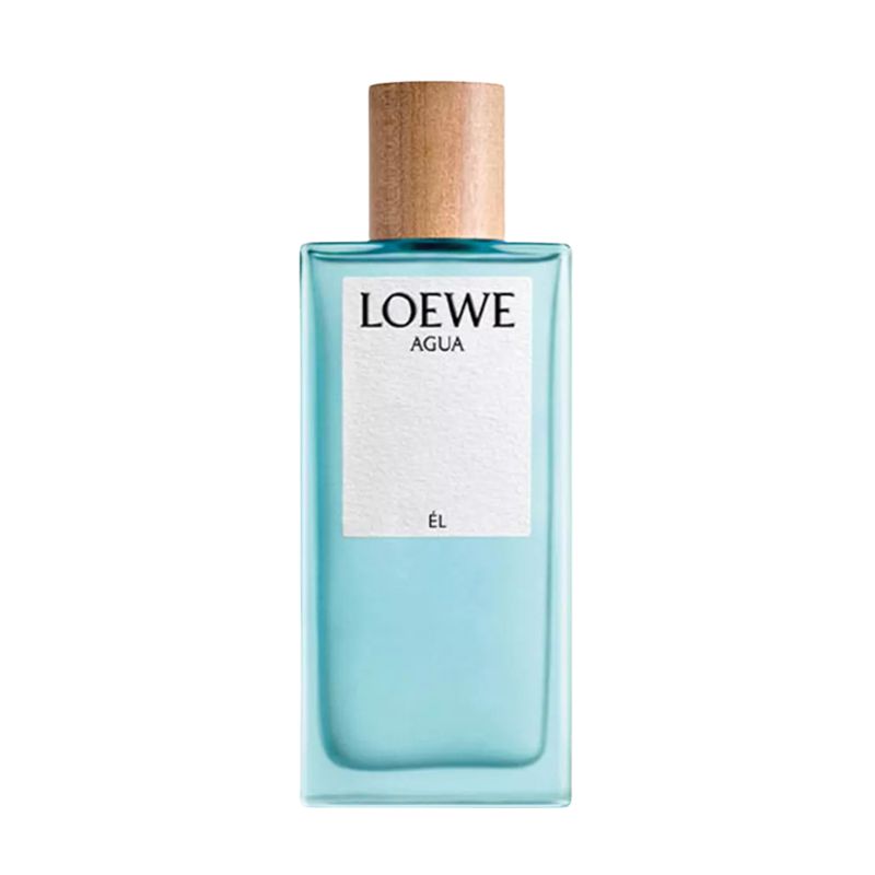 Loewe Agua El For Men EDT 100ml