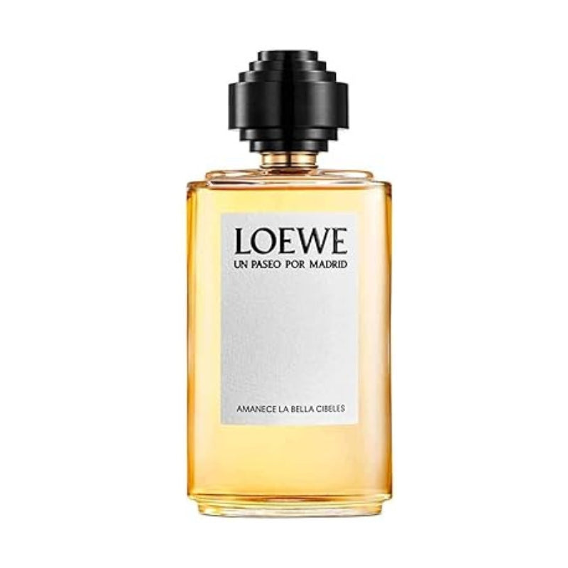 Loewe Un Paseo Por Madrid Amanece La Bella Cibeles For