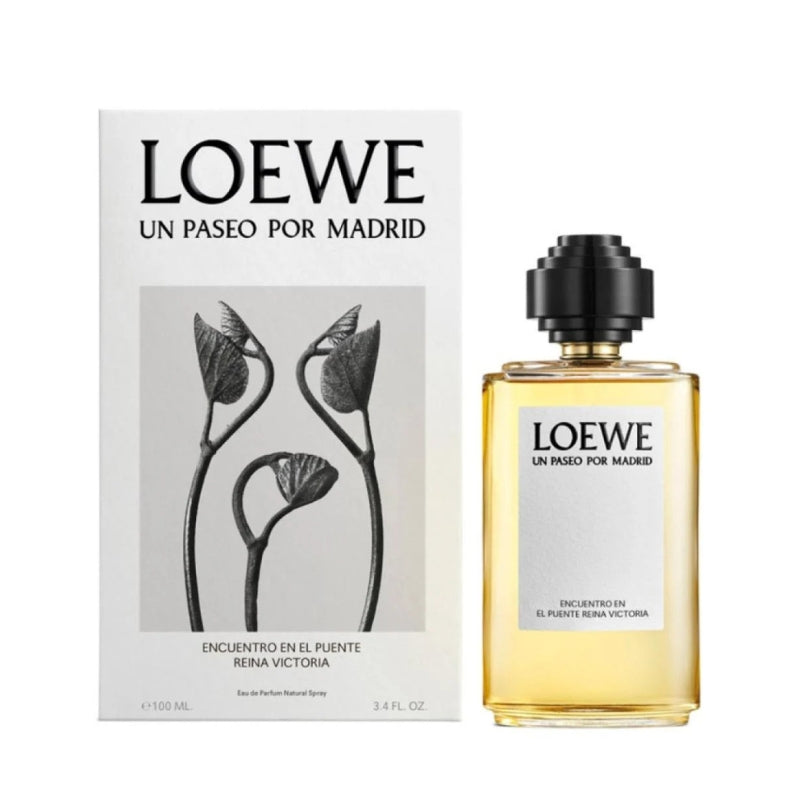 Loewe Un Paseo Por Madrid Encuentro En El Puente Reina Victoria For Unisex EDP 100ml