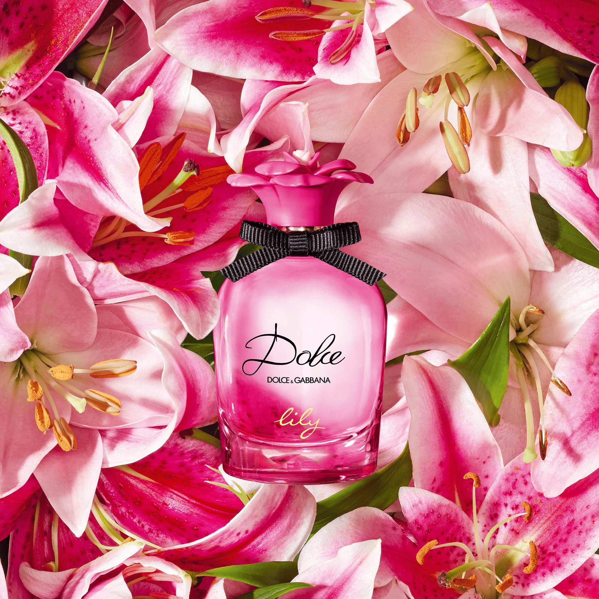 Dolce & Gabbana Dolce Lily Perfume For Women EDT 75ml