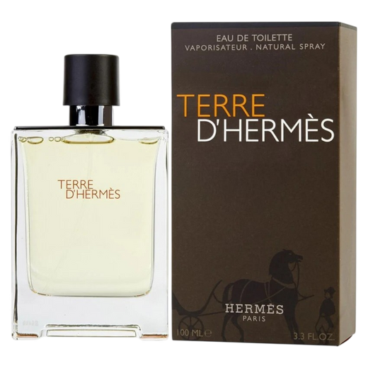 Hermes Terre D'Hermes Perfume For Men EDT 100ml