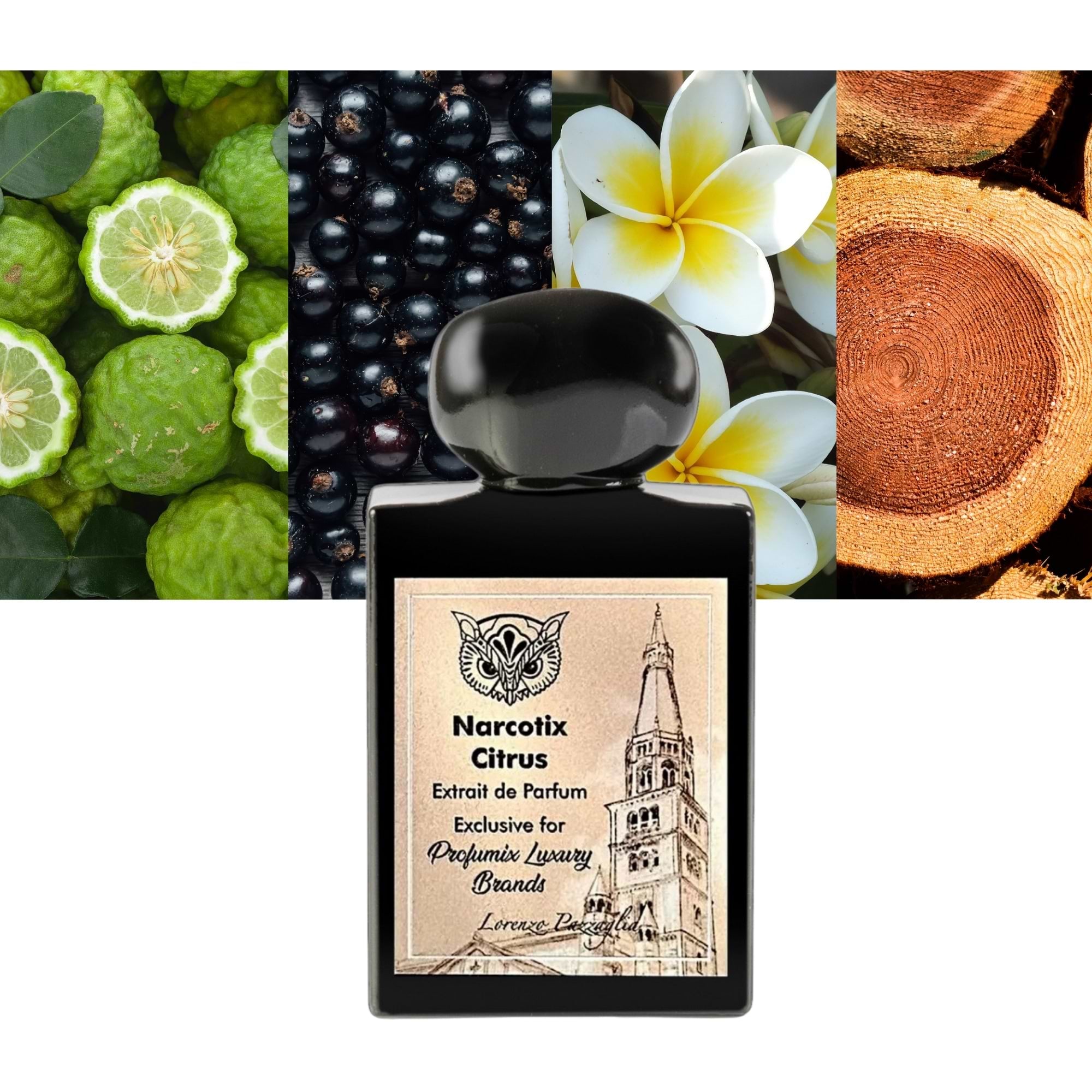 Lorenzo Pazzaglia Narcotix Citrus Extrait De Parfum For  Unisex - Oriental Floral Perfume 50ml