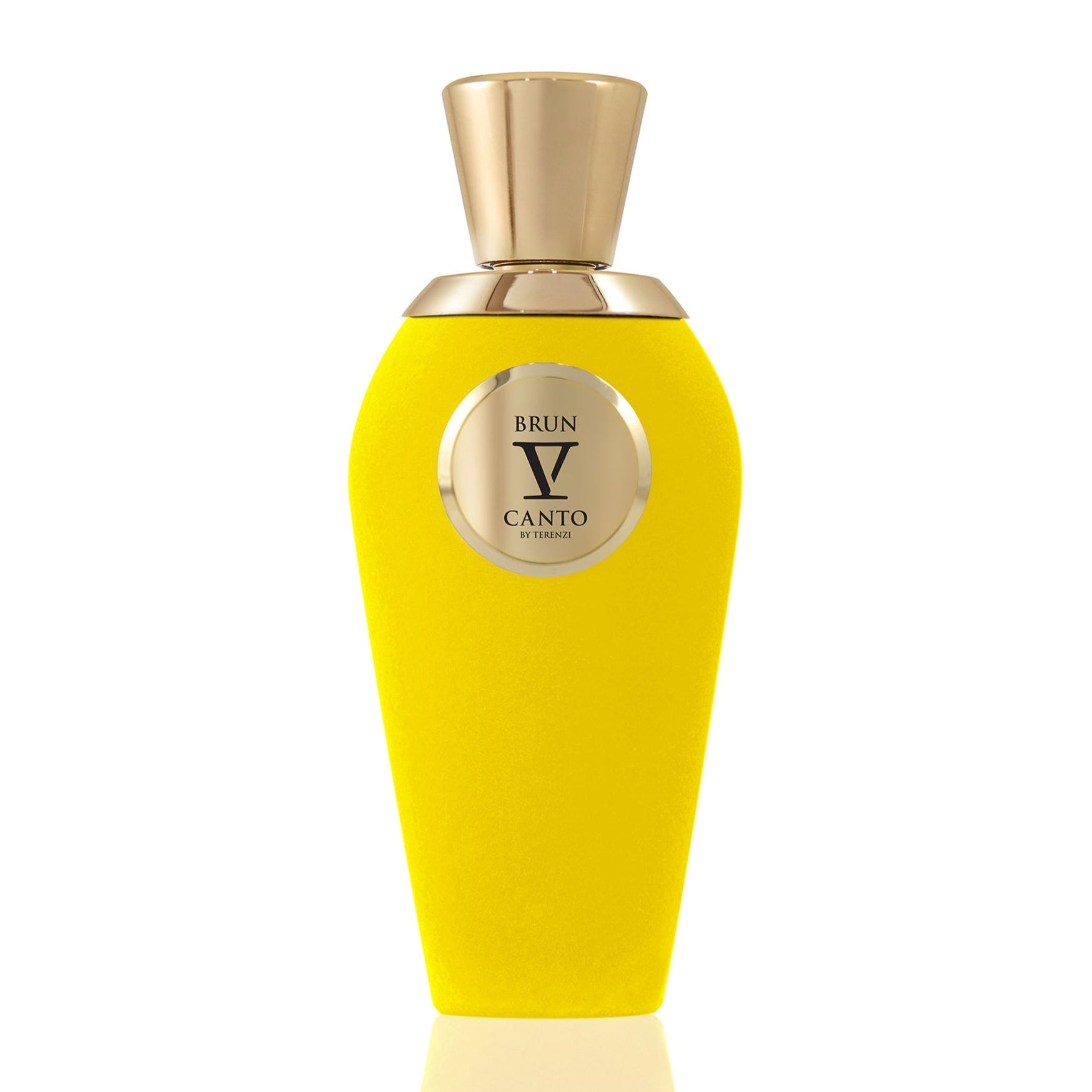 V Canto Brun Perfume For Unisex Extrait De Parfum 100ml – samawa perfumes