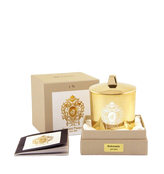 Tiziana Terenzi  Andromeda Luna Collection Scented Candle 170g