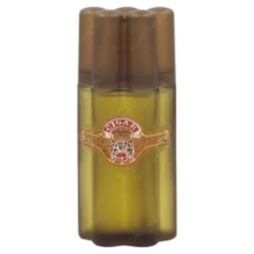 Remy Latour Cigar EDT 100 ml