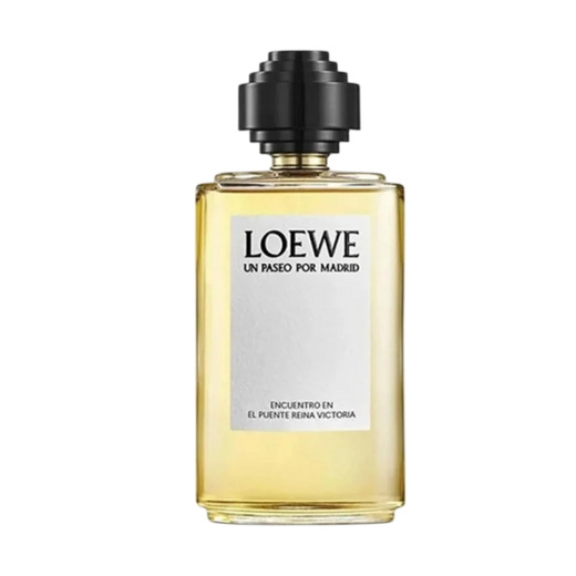 Loewe Un Paseo Por Madrid Encuentro En El Puente Reina Victoria For Unisex EDP 100ml