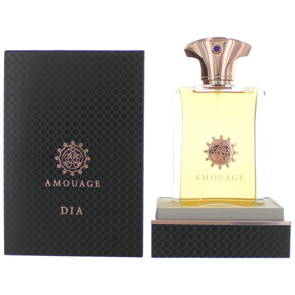 AMOUAGE DIA FOR MAN EDP 100 ml - samawa perfumes 