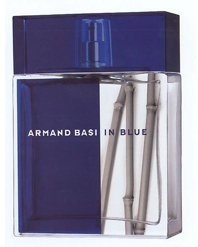 Armand Basi In Blue For Men, EDT, 100ML - samawa perfumes 