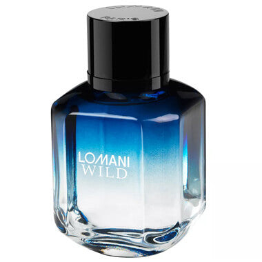 Lomani Wild Cologne For Men, Eau de Toilette  100ml - samawa perfumes 