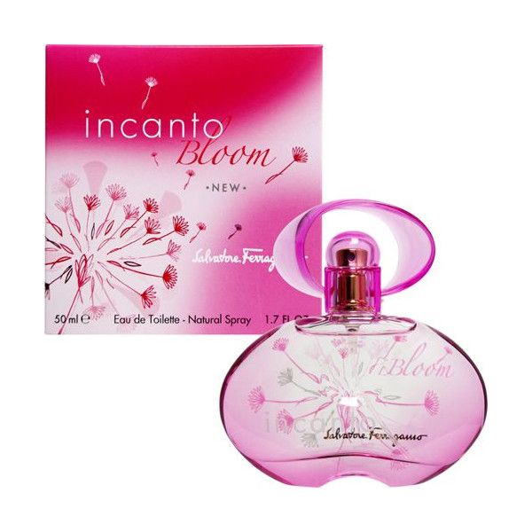 Incanto bloom 2025 new edition